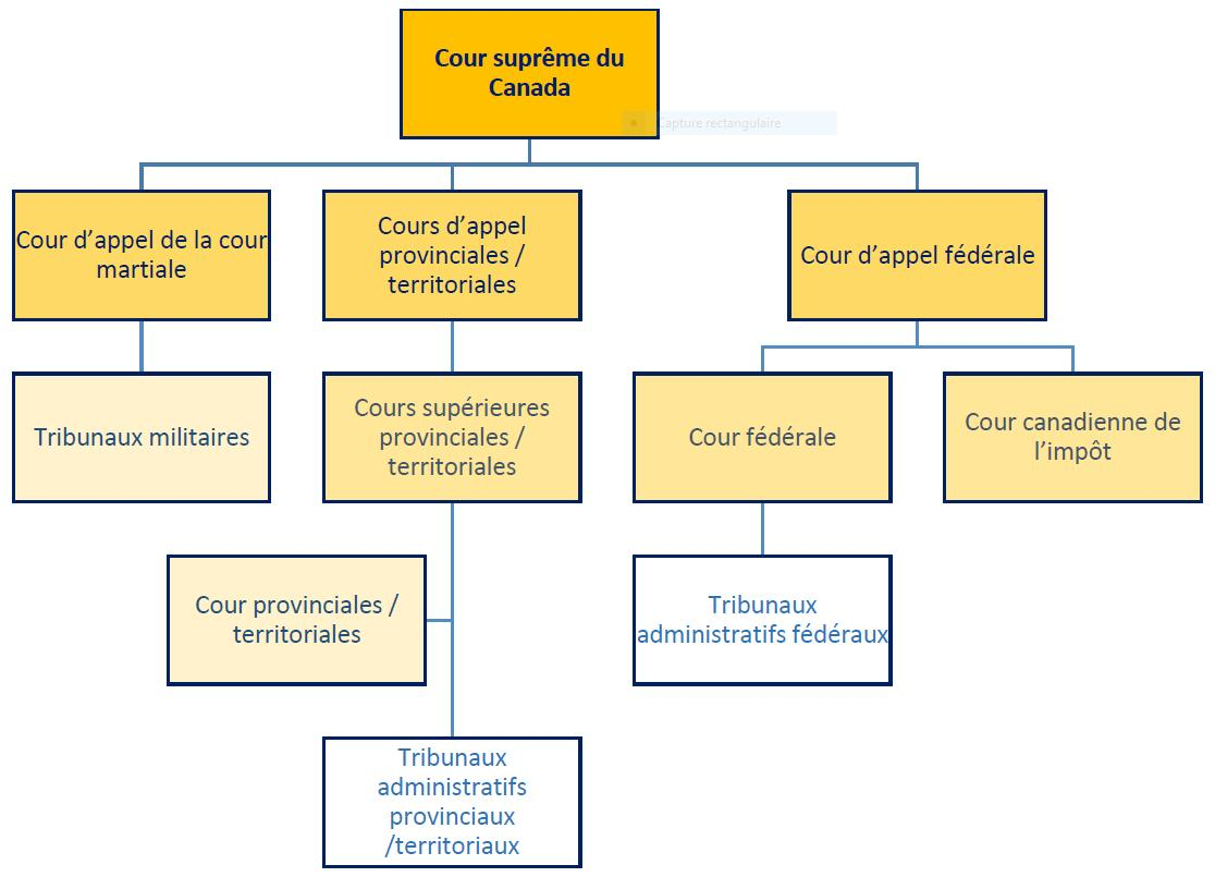 Diagramme du systeme judiciaire canadien